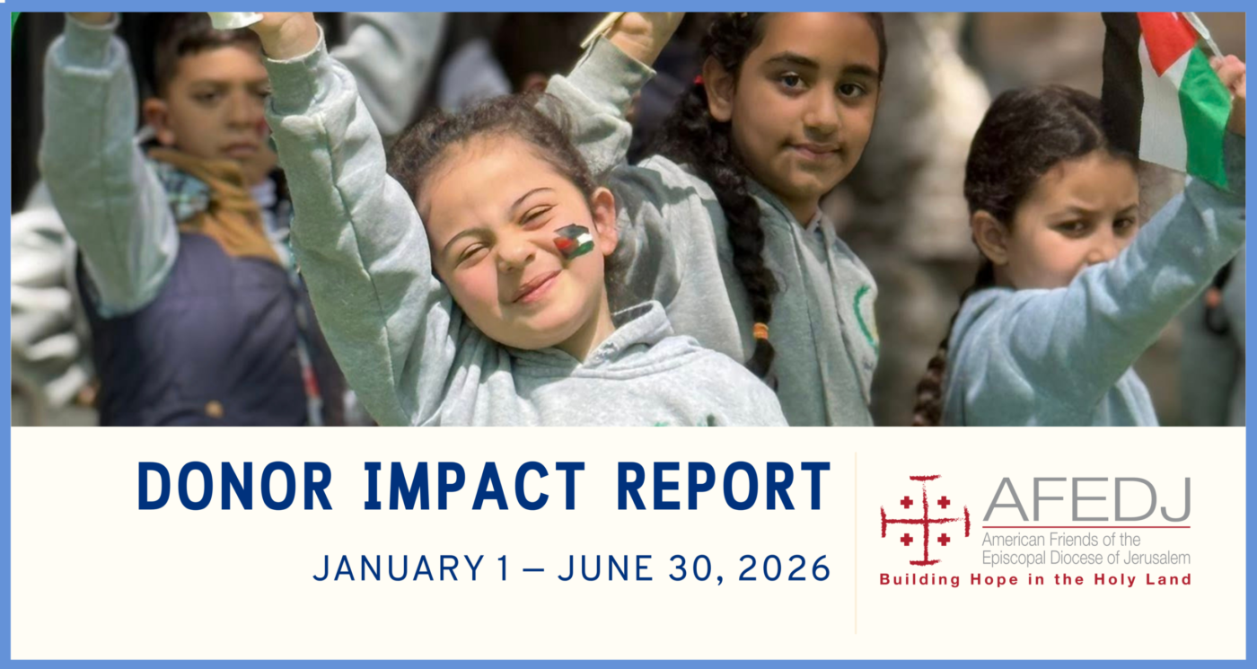 Donor impact graphic for website Jan-June 2026
